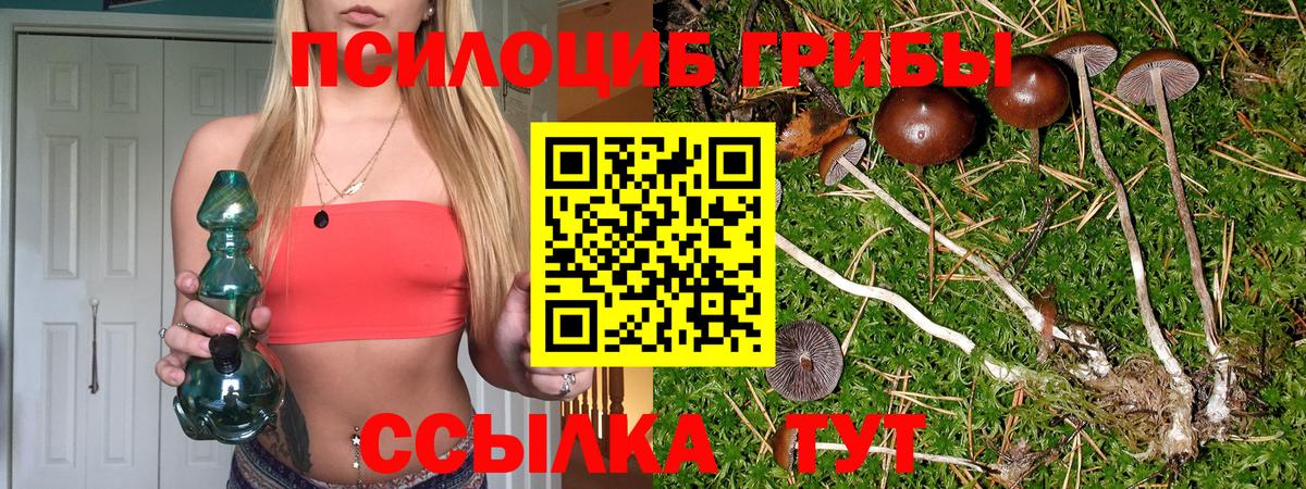 Псилоцибиновые грибы мицелий Волоколамск
