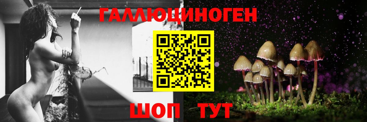 наркошоп  Вход с VPN  Волоколамск  Галлюциногенные грибы Cubensis 